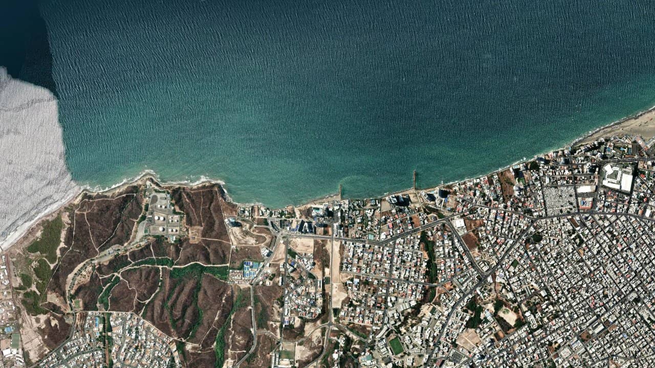 Manta