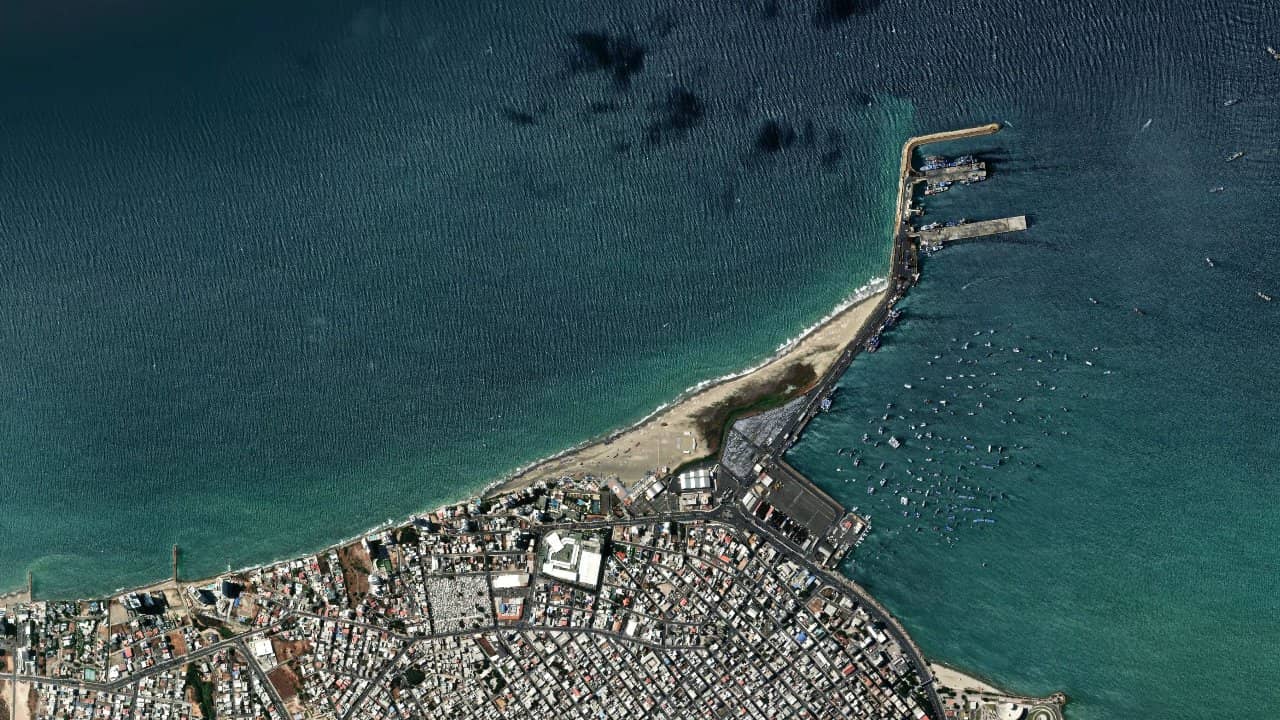 Manta