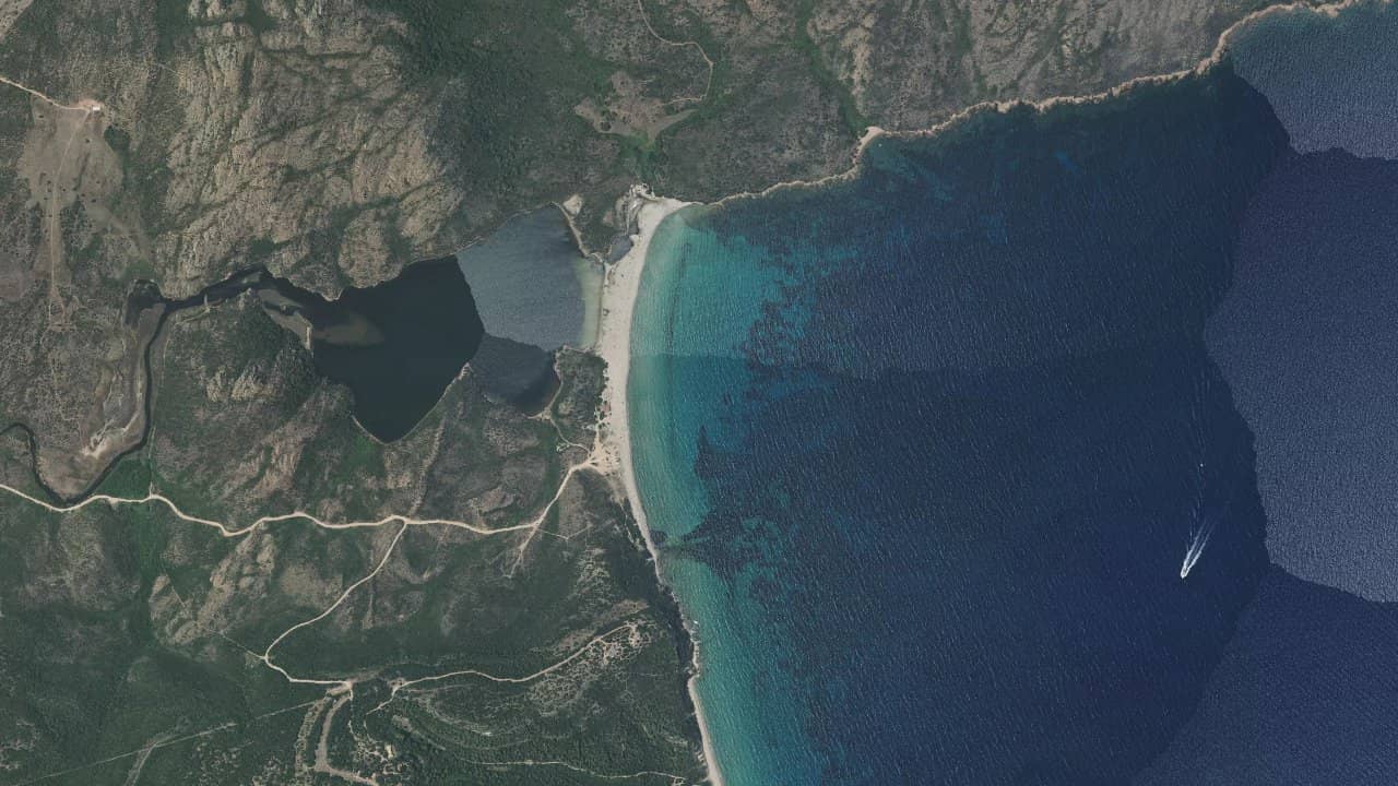 Bonifacio