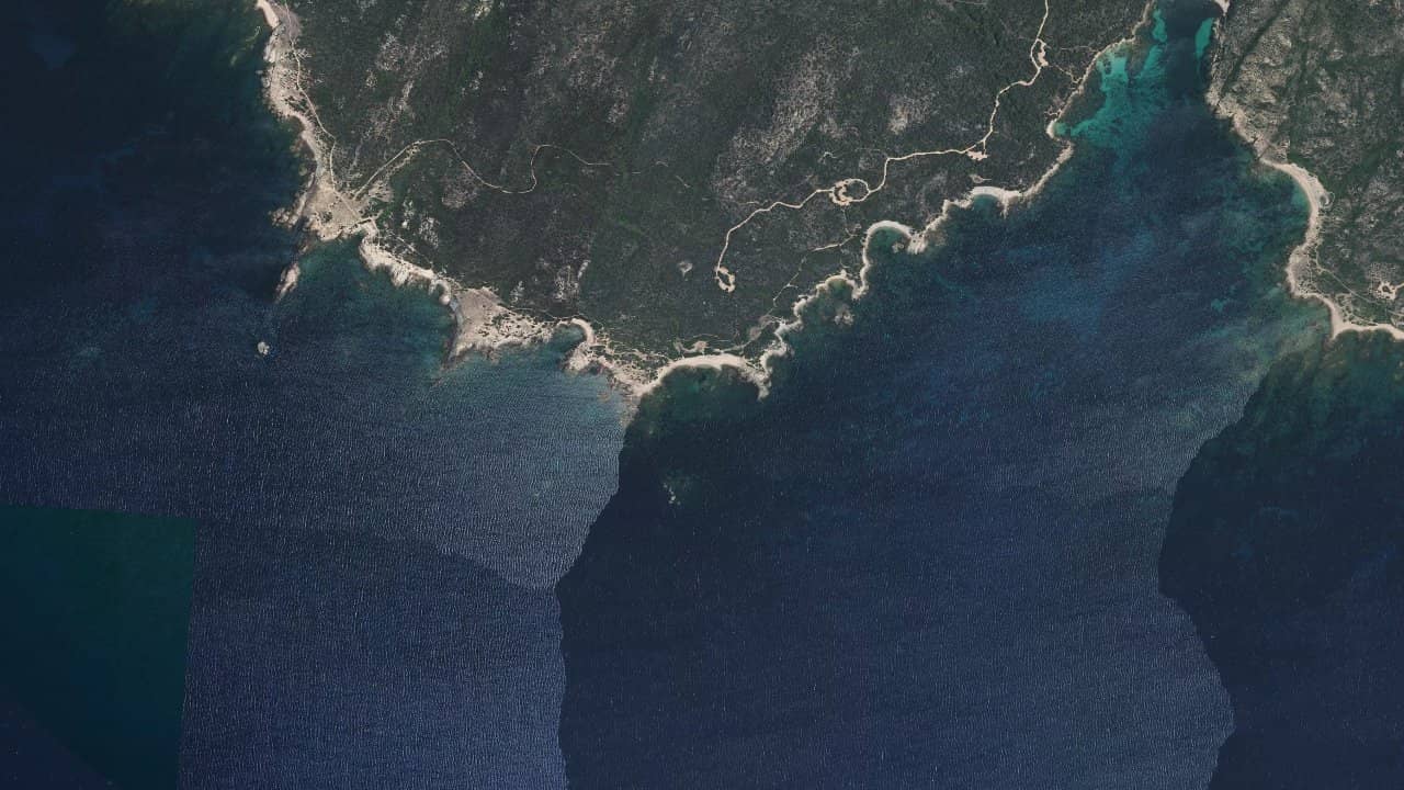 Figari