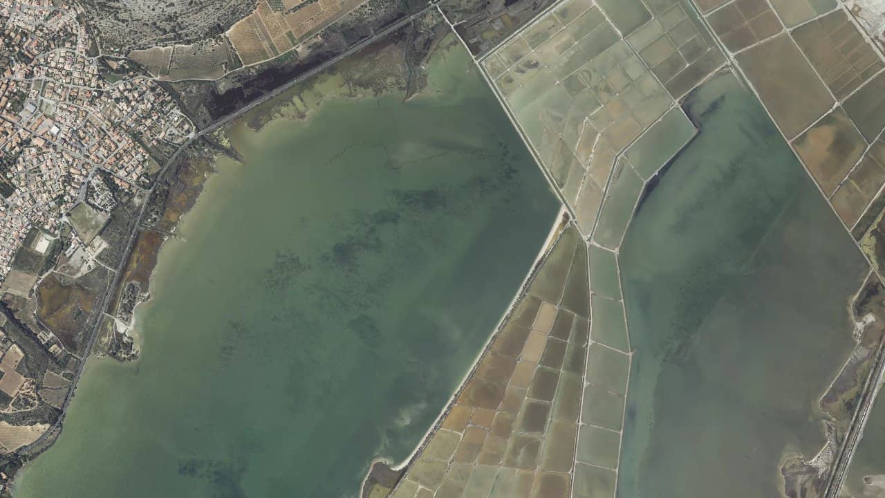 Leucate