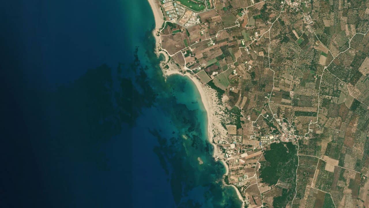 Navarino