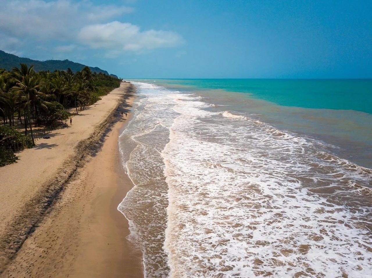 Photo 1 - Palomino