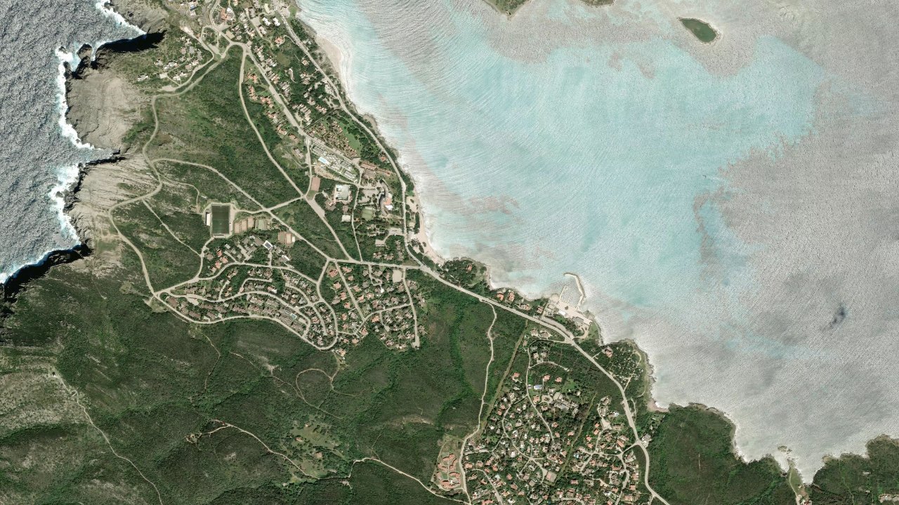 La Pelosa
