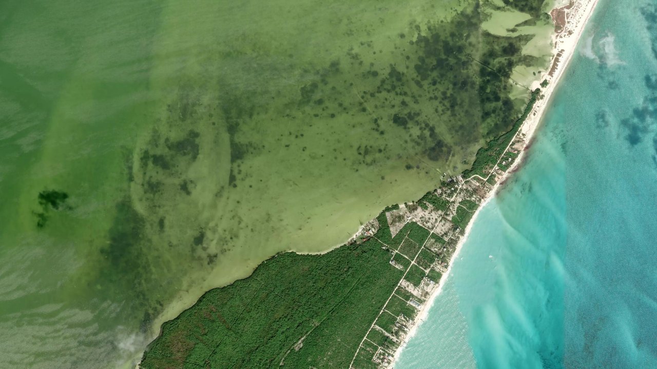 Isla Blanca